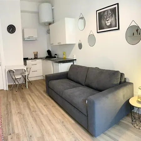 公寓 Le Nid Troyens 特鲁瓦