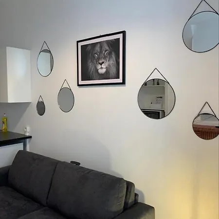 公寓 Le Nid Troyens 特鲁瓦